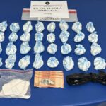 DNCD incauta más de 119 mil gramos de sustancias ilícitas en varios allanamientos