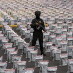 Balance: República Dominicana decomisó más de 44 mil kilogramos de drogas