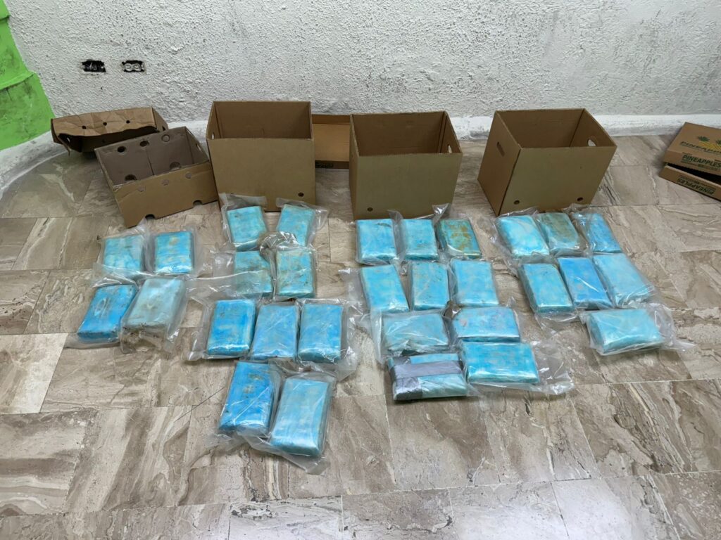 DNCD incauta 30 paquetes de cocaína camufladas en cargamento de piña con destino a Alemania