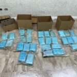 DNCD incauta 30 paquetes de cocaína camufladas en cargamento de piña con destino a Alemania